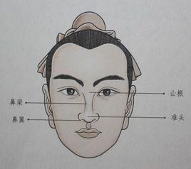 鼻梁起节的明星,揭秘那些独特鼻型的明星风采